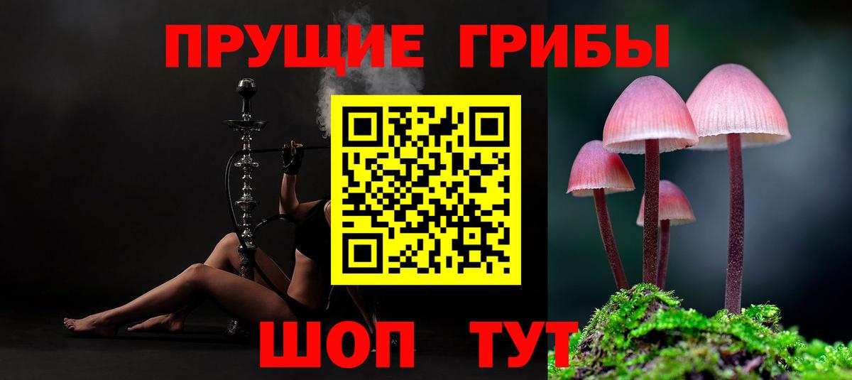 Великий Новгород  Псилоцибиновые грибы прущие грибы  Вход с VPN 